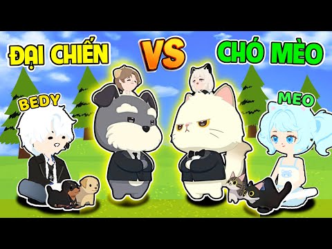 BEDY SOLO PET CH.Ó MÈO MỚI CÙNG MEO ĐỂ XEM AI VIP HƠN VÀ CÁI KẾT | PLAY TOGETHER