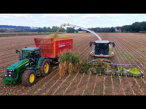 Mais 2024 : Egide London | Claas Jaguar 990 | John Deere 8320 | Maisernte | Mais harvest | JD 8345R