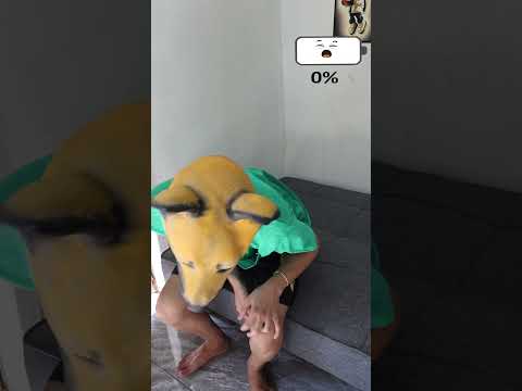 Ai Đã Cứu Sống Cả Gia đình Tôi - Poor Dog #shorts #sigmagirl