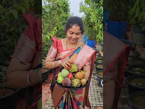 fruits harvesting in my garden #fruits #mygarden #organicfarming #gardening #shorts #viralvideo