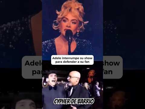 Adele defiende a su fan e interrumpe su Shows #adele #adelefans