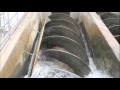 Deep-Sea Vents and Road Hazards