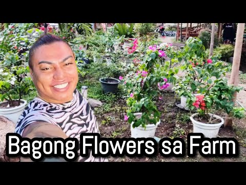 Bagong Flowers sa Farm.