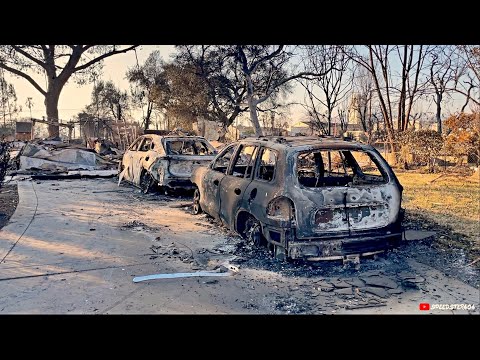 The Aftermath of LA Wildfires