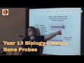 Gene Probes and Their Applications