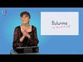 Understanding the Turkish Locative Suffix