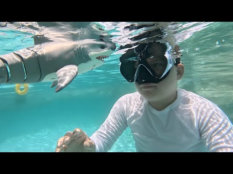 Kids Swimming With Shark Toys in GIANT Swimming Pool! Caleb Pretend Play