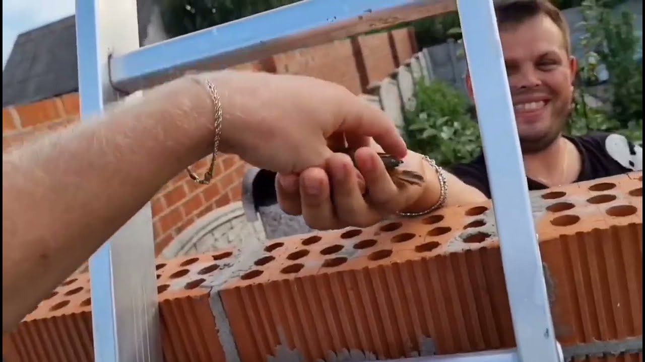 НЛО на Игрени Следующий выпуск