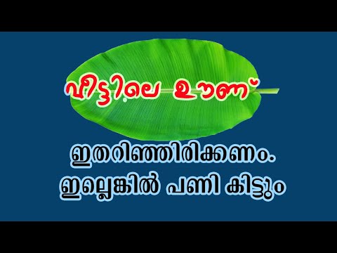 വീട്ടിലെ ഊണ് - ഇതറിഞ്ഞിരിക്കണം. ഇല്ലെങ്കിൽ പണി കിട്ടും | Small Business Malayalam