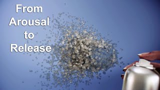 From Stimulation to Release, Live