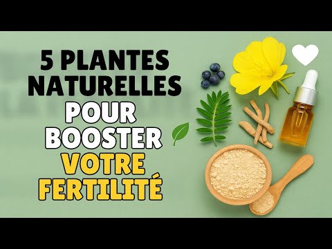 5 Plantes Naturelles Pour Booster Votre Fertilité 🌿