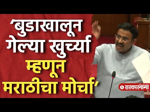 ‘घरात आईला म्हणतात मम्मी मोर्चात जाणार आम्ही’ Parinay Fuke यांची कविता, Raj -Uddhav Thackeray Melava