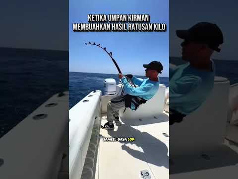 ♻️😂🔥ketika umpan kirman membuahkan hasil ratusan kilo 🔥🔥#shortsfeed #fishing #viralvideo #mancing