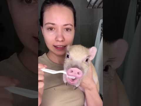 😭 Um FILHOTE de PORCO abandonado. 🐷 #animais #animals #fyp #cute #porco #wildlife #piglet