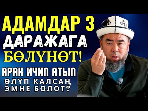 ОЙЛОН, АРАК ИЧИП АТЫП ӨЛҮП КАЛСАҢ ЭМНЕ БОЛОТ? АДАМДАР 3 ДАРАЖАГА БӨЛҮНӨТ!