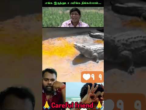 Thank God This video for entertainment and safety Awareness video thank you #love #tamil #safety🙏🙏🙏🙏