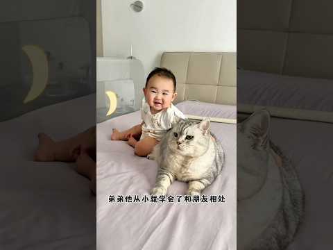Oreo selalu jagain dede bayi 👶😺 #kucinglucu