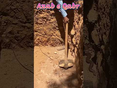 Qabar Me Sanp Ka Azab ๐ฅ #shortvideo #shortsfeed