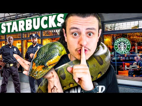 My Snakes Got Me Kicked Out Of Starbucks!