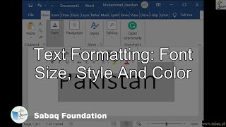 Text Formatting: Font Size, Style And Color