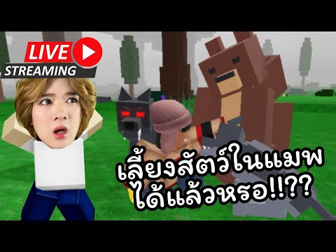 🔴 LIVE เลี้ยงสัตว์ในแมพได้แล้ว 99 Days in the Forests!