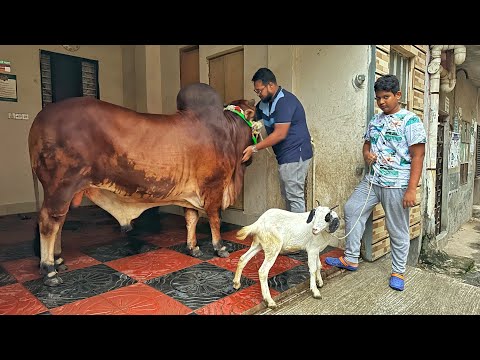 ফান্টা চলে এলো "একান্ত আপন" এ 🖤 গাড়ী থেকে নামার সময় পরে গিয়ে ব্যাথা পাইছে, সবাই দোয়া করবেন 💔