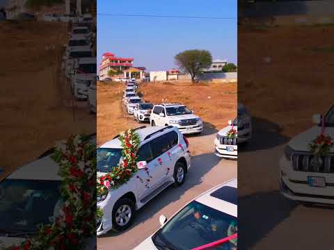 beautiful car Decoration//vip cars//pakistani wedding #bollywood #bollywoodsongs #hindisong #song