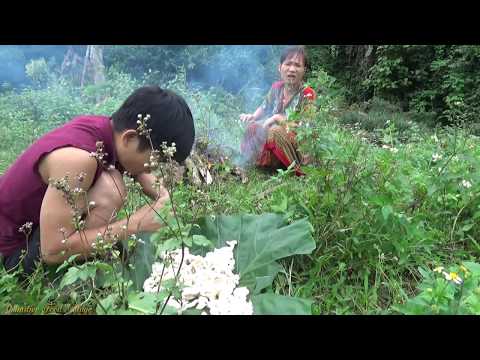Survival skills: Primitive life finding food meet mushroom - Cooking mushroom for Eating delicious