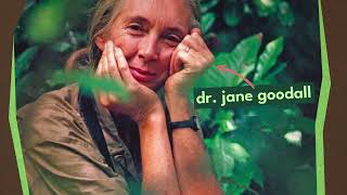 Jane Goodalls Roots & Shoots stap 1: Raak geïnspireerd