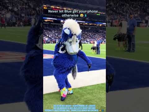Weall live the blue…#mascot #blue #funny #nfl #nflcombine