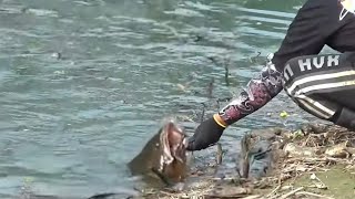 हमारी गली की नाली में मछलियाँ आ गईं!! Catching fishes in our street drainage