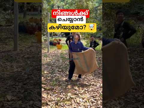 അതിശയിപ്പിക്കുന്ന fruit പറയ്ക്കൽ രീതി  🤯😳  |Malayalam facts| Durian fruit malayalam #factsmalaya