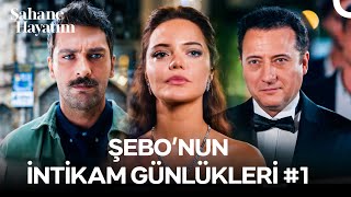 Şebo'nun İntikam Günlükleri #1: Kapatılacak Eski Bir Hesaplaşma - Şahane Hayatım