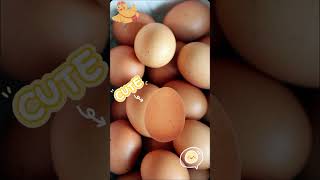 Cute baby eggs #viralvideo #shorts #youtubeshorts #trending