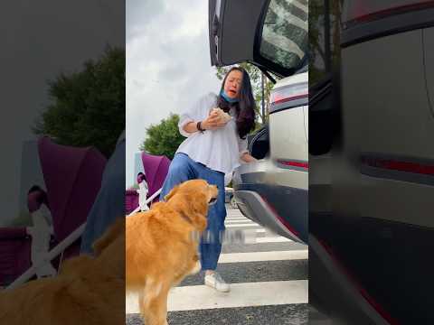 দুষ্টু মহিলাটা আমাকে লাথি মারলো 🥺 #trending #shorts #baby #dog