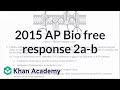 Cellular Respiration Concepts and Processes