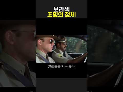 보라색 조명의 정체