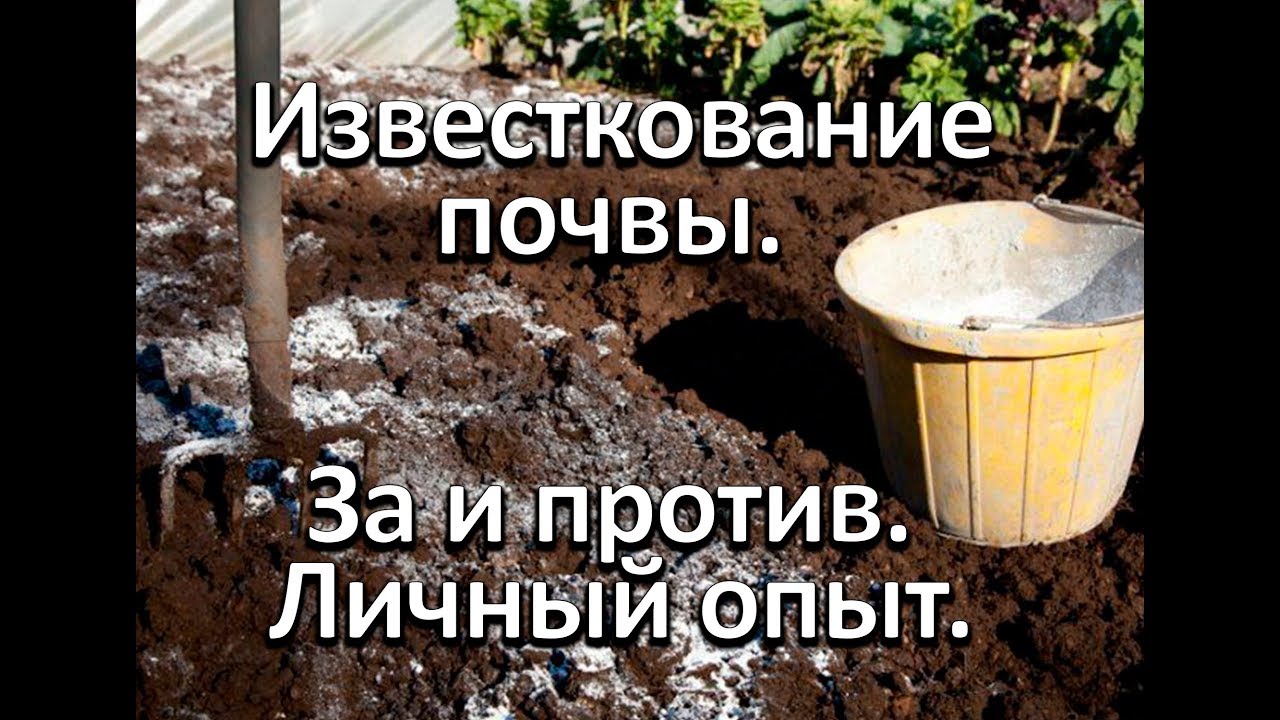 Известкование почвы. Личный опыт