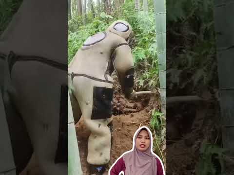 Perjuangan banget #reaction #info #reactionvideo #shorts