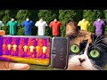 T-shirt Color and Temperature Effects