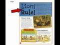 Understanding Key Concepts from the Video Tutorial