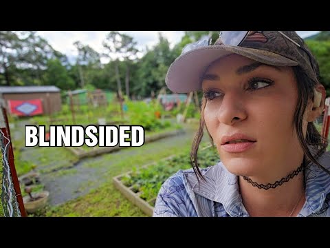 I Never Saw It Coming… | Harvesting Hope on Our Cabin Homestead