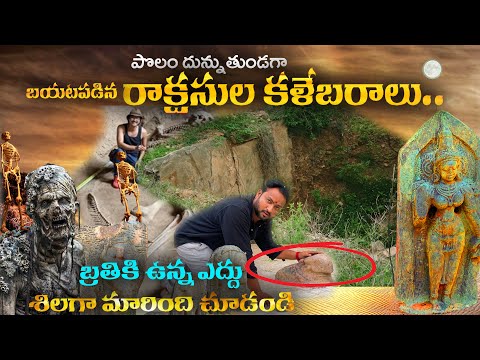 Surabeswara Kona | బ్రతికి ఉన్న ఎద్దు శిలగా మారింది చూడండి