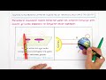 Climate Zones and Seasonal Changes