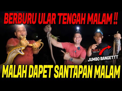 BERBURU ULAR TENGAH MALAM BARENG AUFA MALAH DAPET BANYAK BELUT BABON