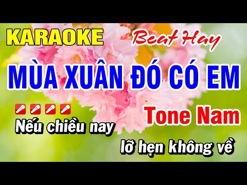 Karaoke Mùa Xuân Đó Có Em (Beat Đẳng Cấp) Tone Nam Nhạc Xuân 2024 | Hoài Phong Organ