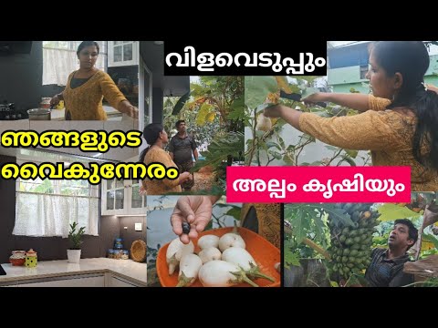 productive evening vlog |organic farming #evening routine #house #motivation #familytime #kitchen