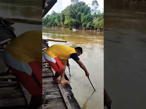 ESSE TEM AS MANHAS #shorts #pesca #historiasdepescador #pescaria #tarrafa