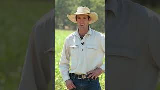 Dry Season Broadacre Nutrition