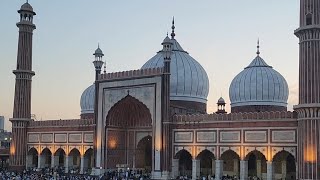 ईद उल अज़हा के चाँद को लेकर जामा मस्जिद से नायब शाही इमाम शाबान बुख़ारी LIVE
